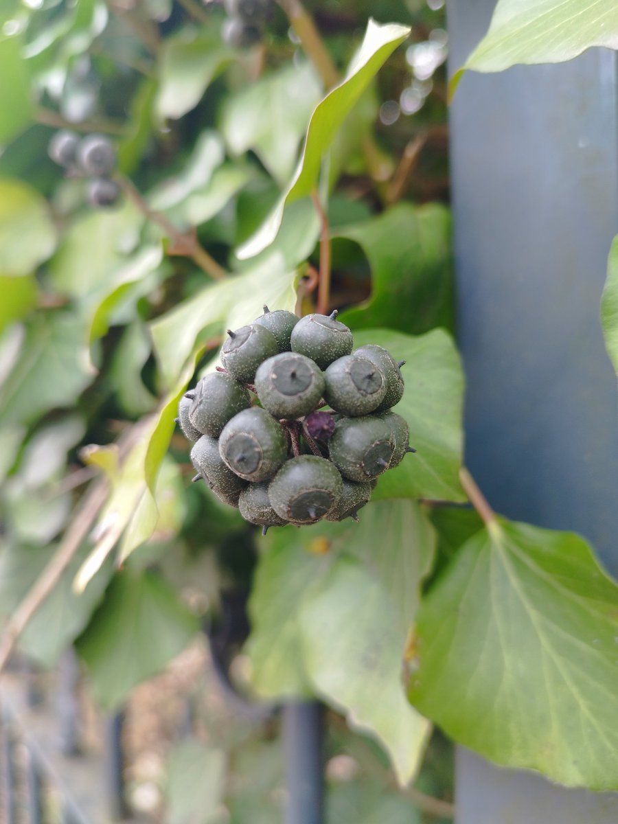 Maria Steinberg (du-bist-grossartig.de) tweet media