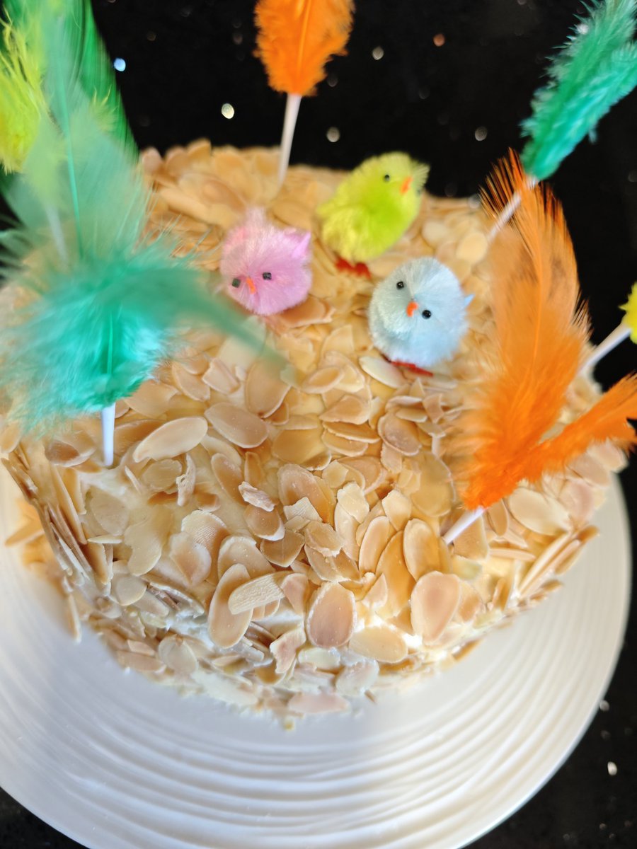 Xavier Singla tweet media