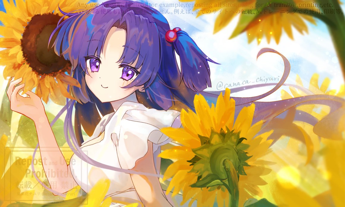 夏菜花チユリ🌷-ｶﾅｶ ﾁﾕﾘ- tweet media