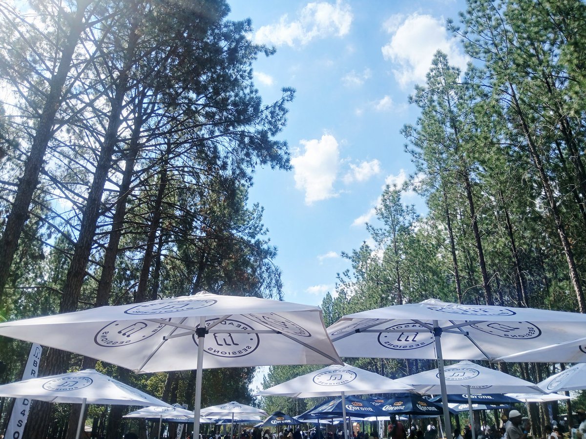 Sikho (New Account) tweet media