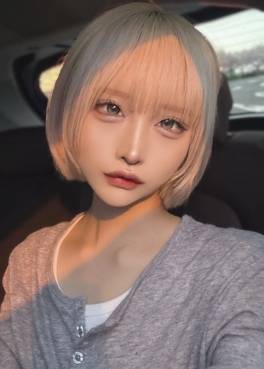 ALM【シュレ犬】 tweet media