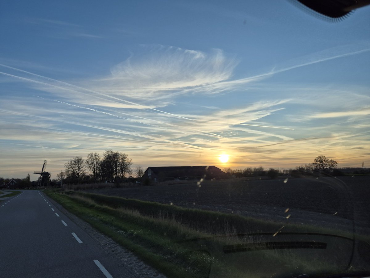 Syphirioth tweet media