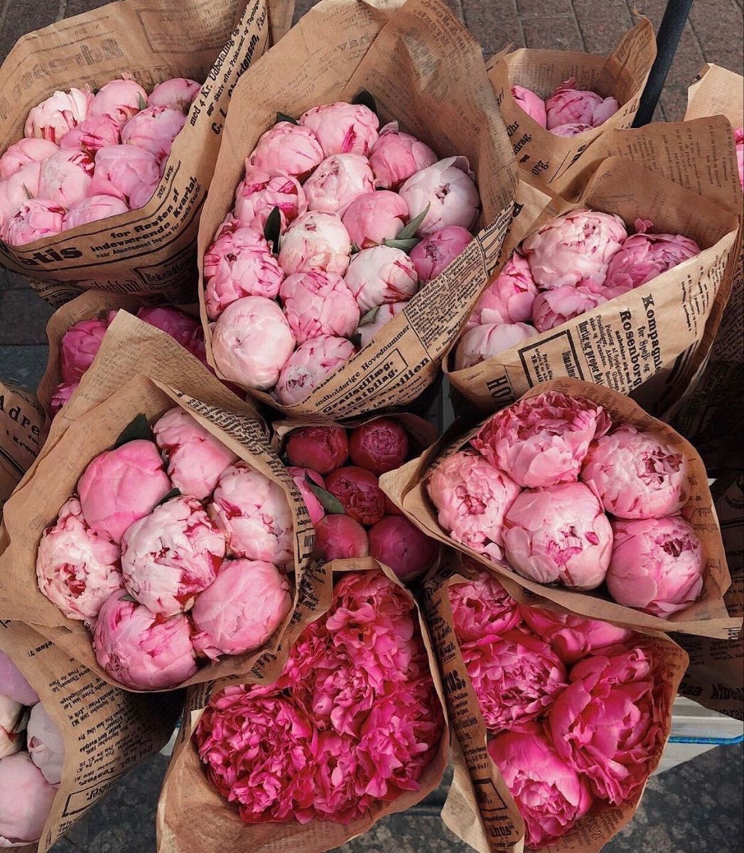 r ˚⟡˖ ࣪ tweet media