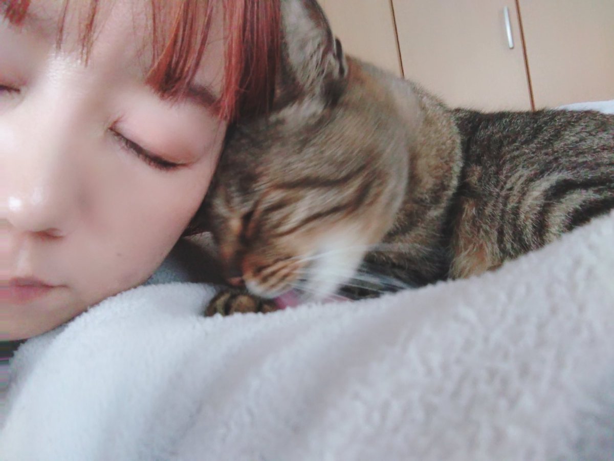 EKO茶🍵(えこちゃ)❄4/11名古屋オフ会4/12名古屋モタサイ🏍️ tweet media