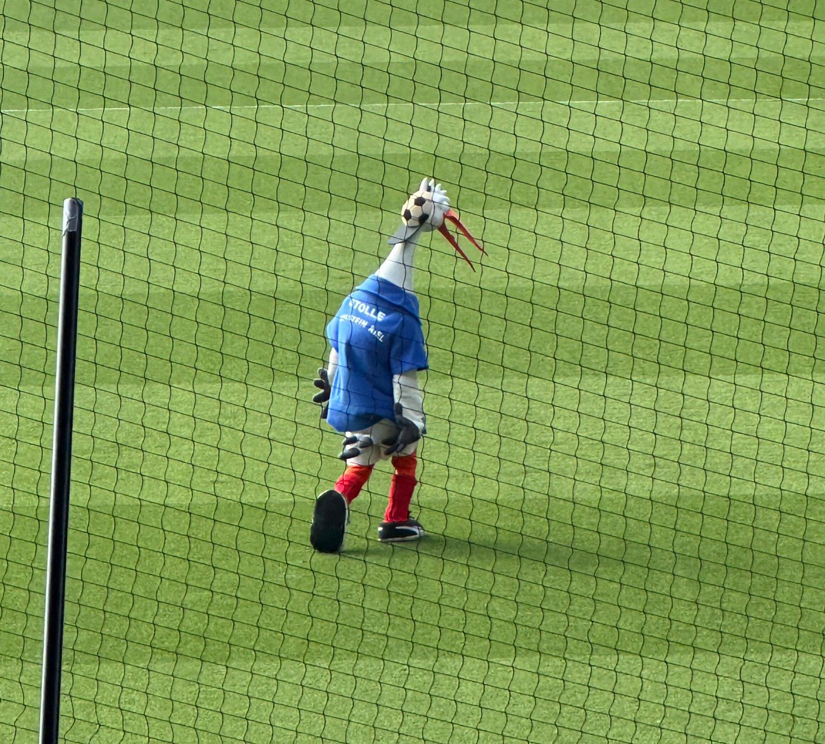 karry 🦕 tweet media