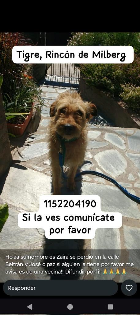 Beto Valdez tweet media