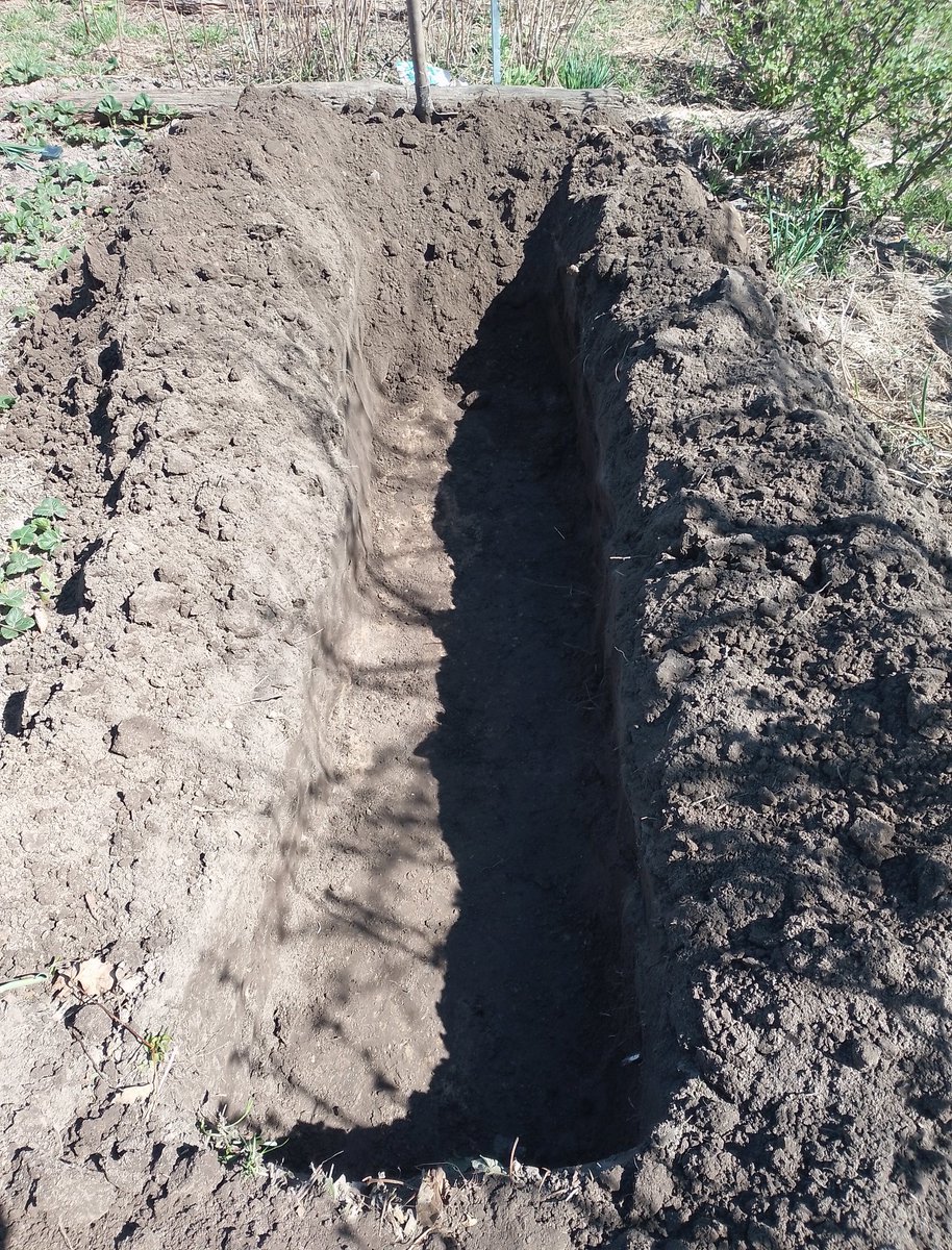 Розбита Бородянка tweet media