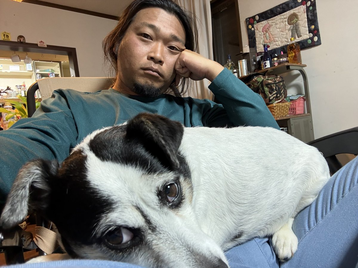 長谷川わたる@つくばブルーベリーピクニック tweet media