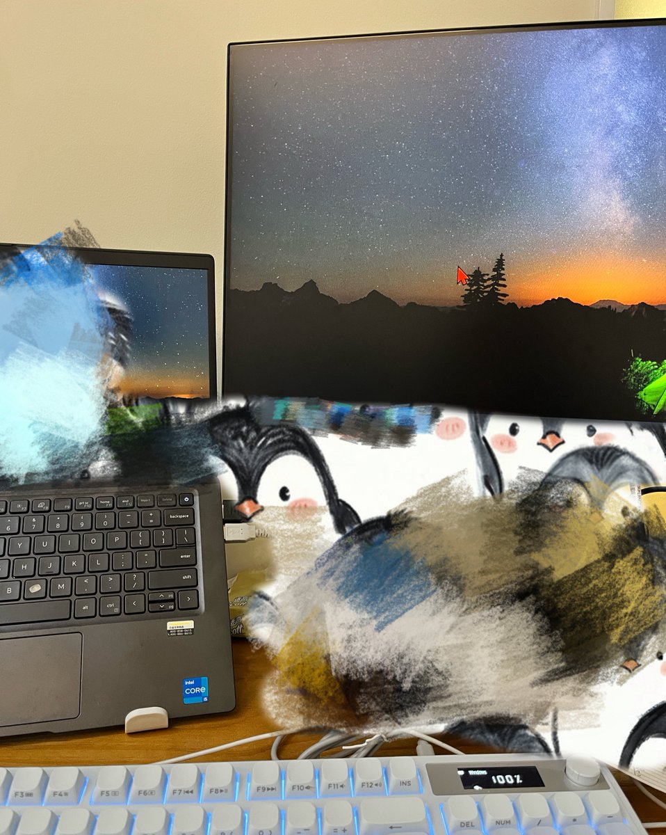 小卖部部长🐈 tweet media