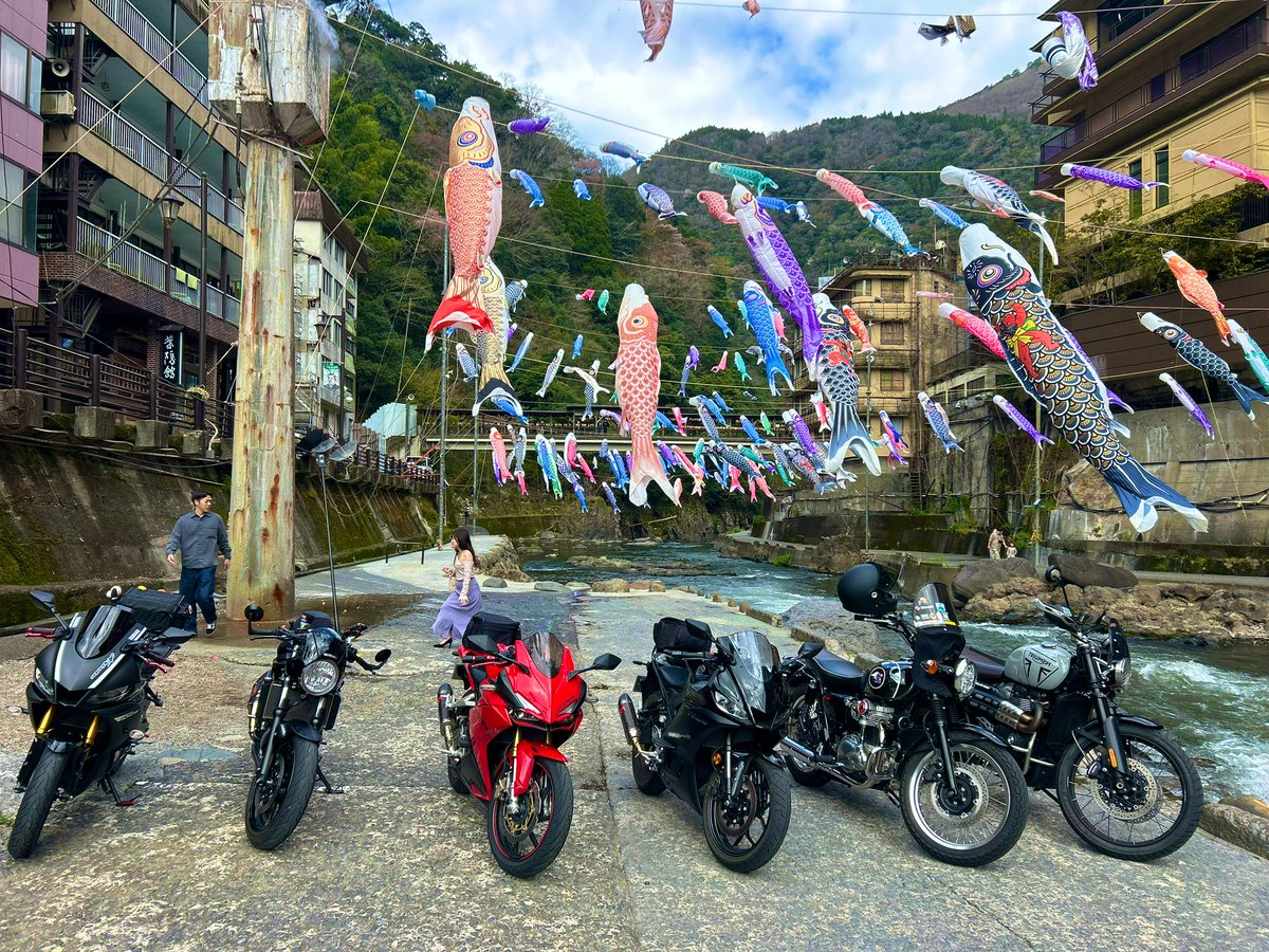 メグロEX tweet media