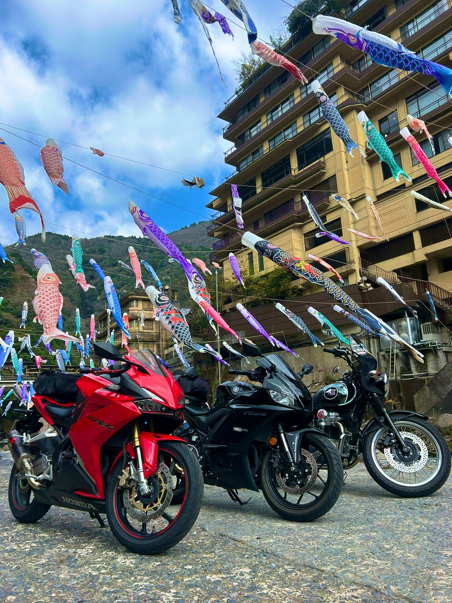 メグロEX tweet media