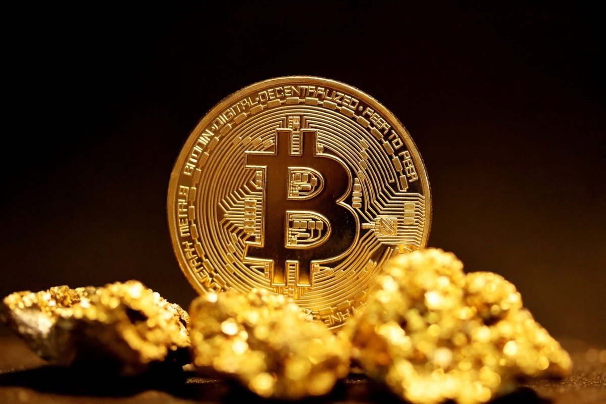 CryptoGoos tweet media