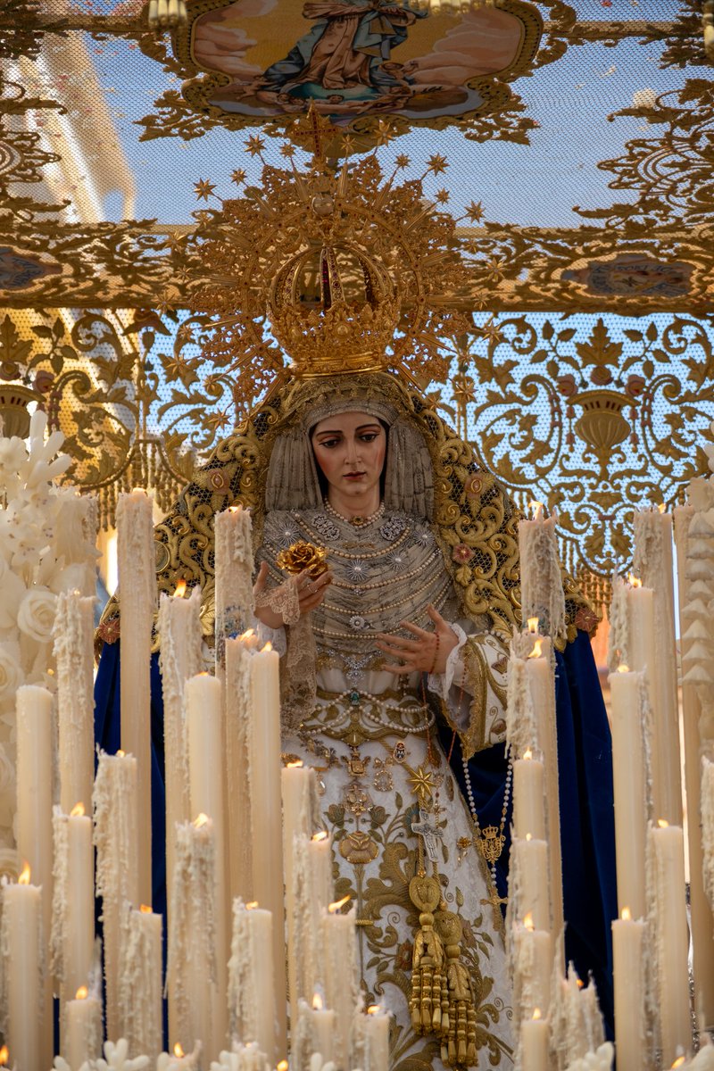 ᴊᴏsᴇ ʟᴜɪs ᴄ. ᴇ. tweet media