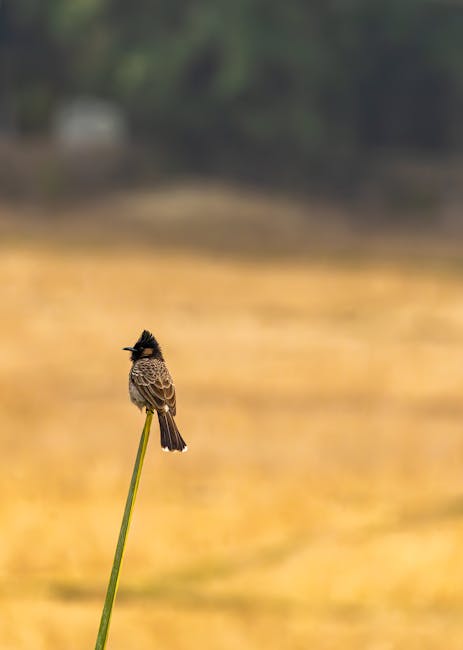 Brian Day tweet media