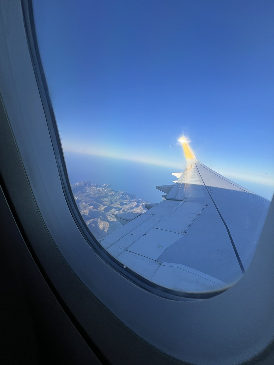 Nala in Barcelona | Madrid🎀 tweet media