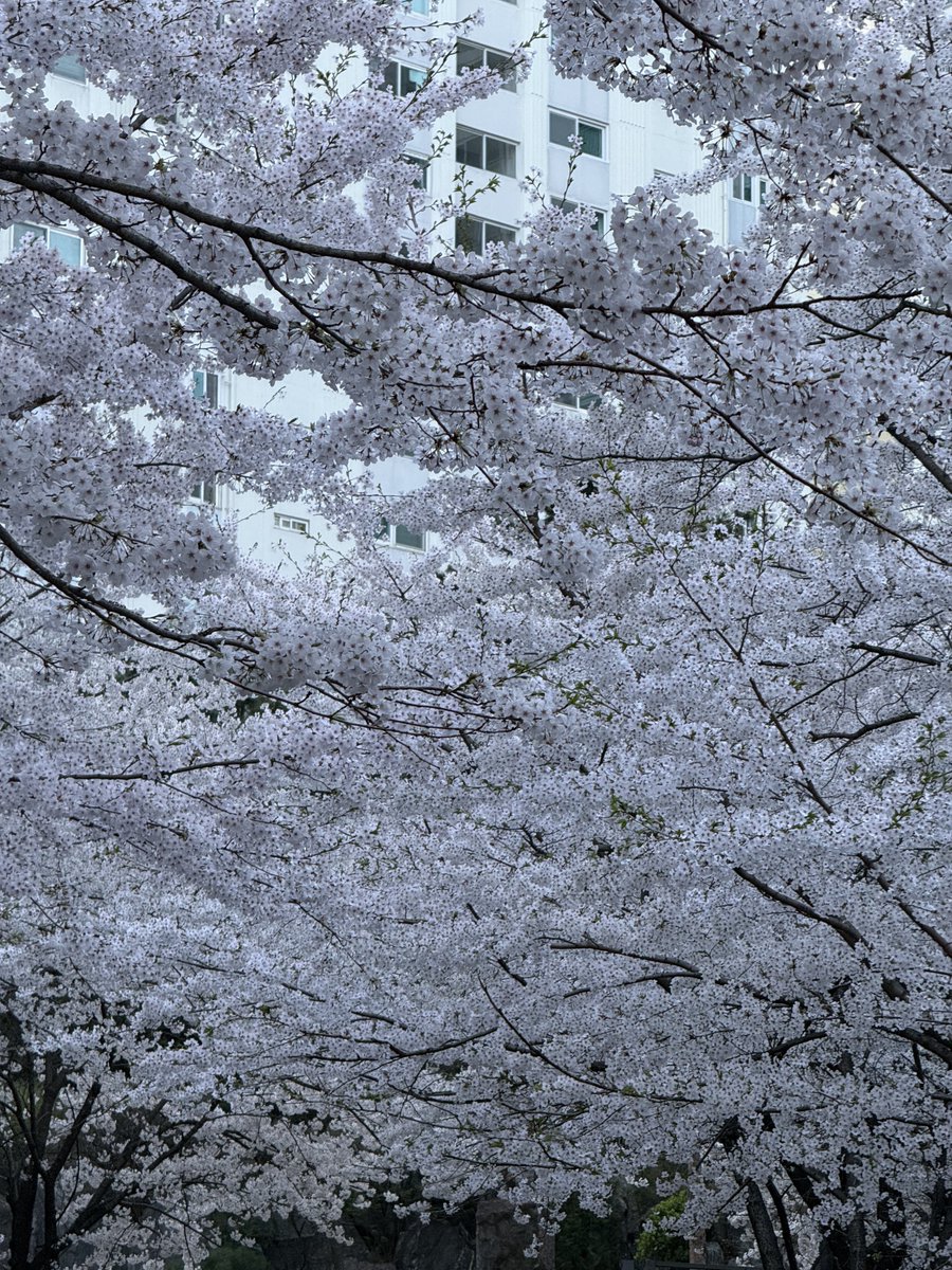 파덕찌 tweet media