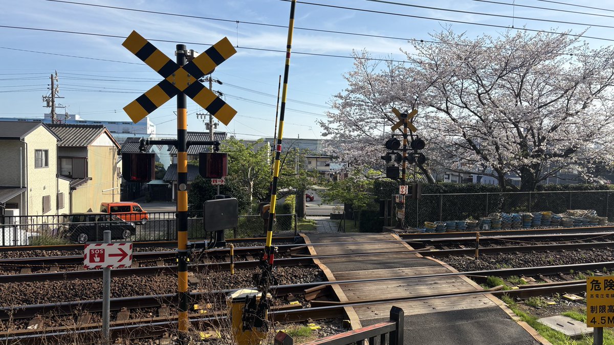 桜×清見寺踏切