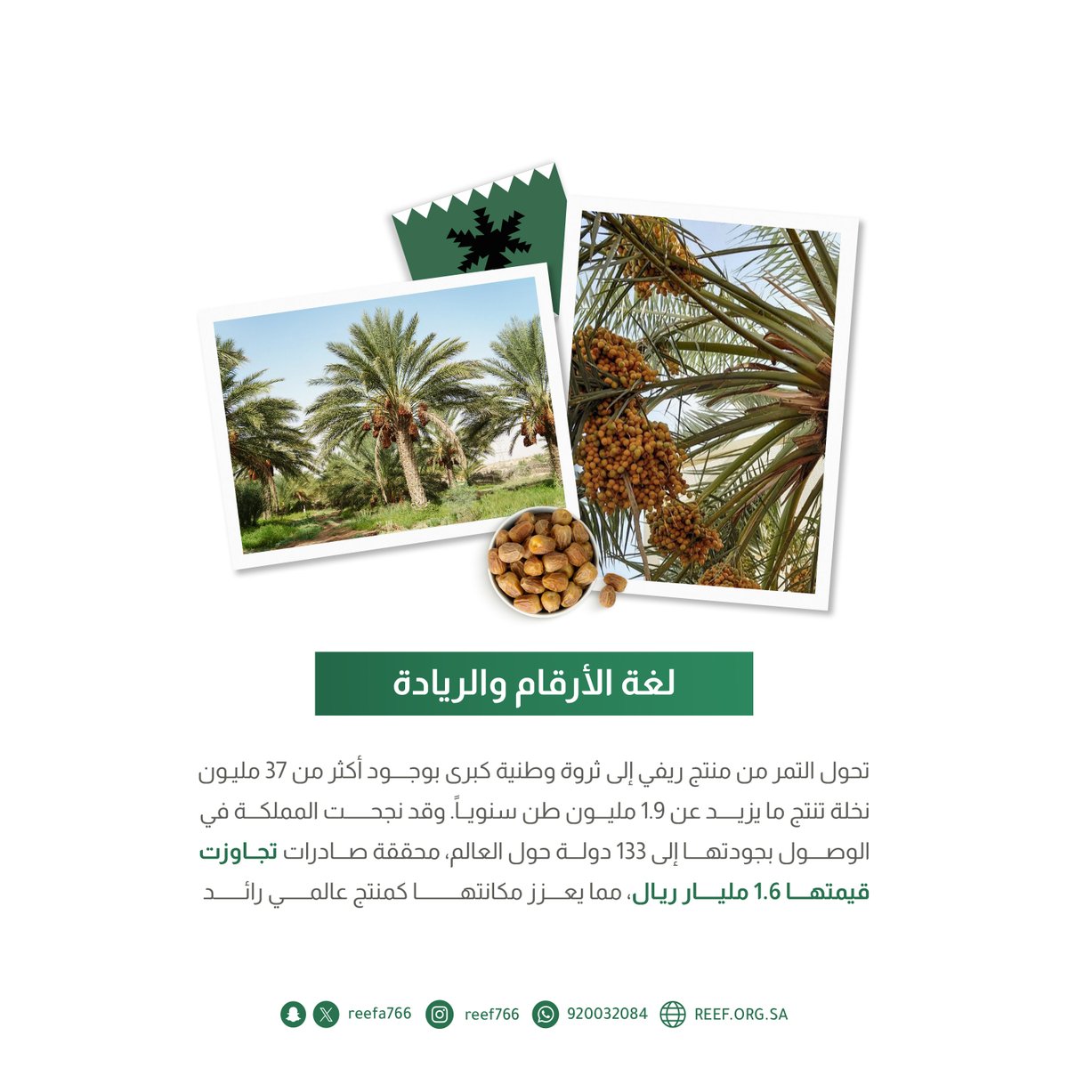 جمعية ريف🍃 tweet media