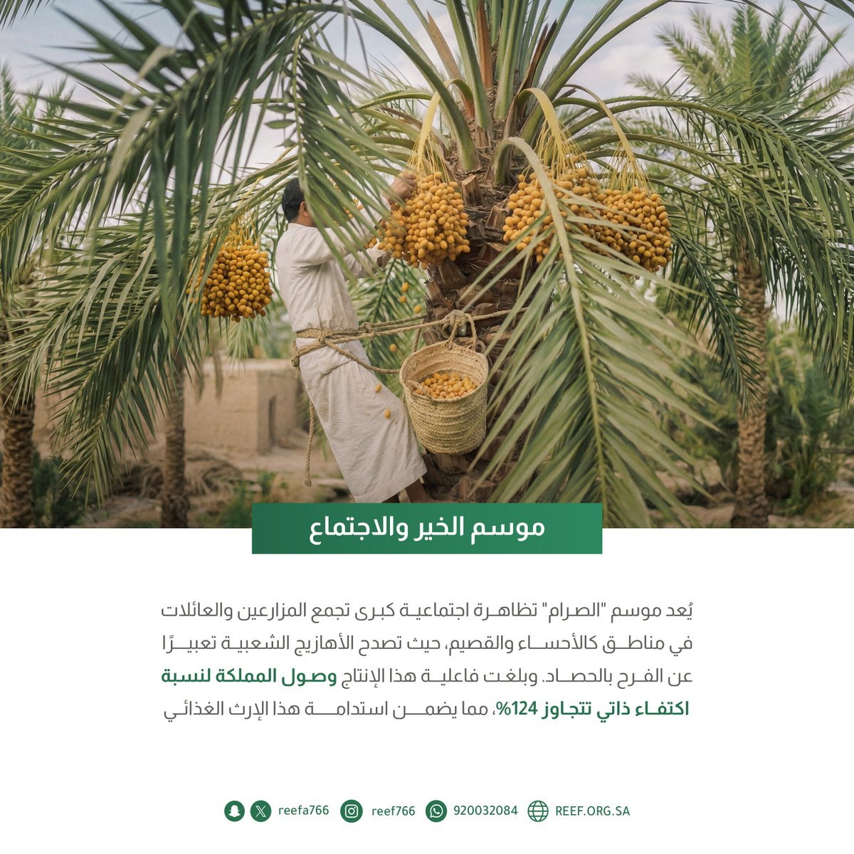 جمعية ريف🍃 tweet media