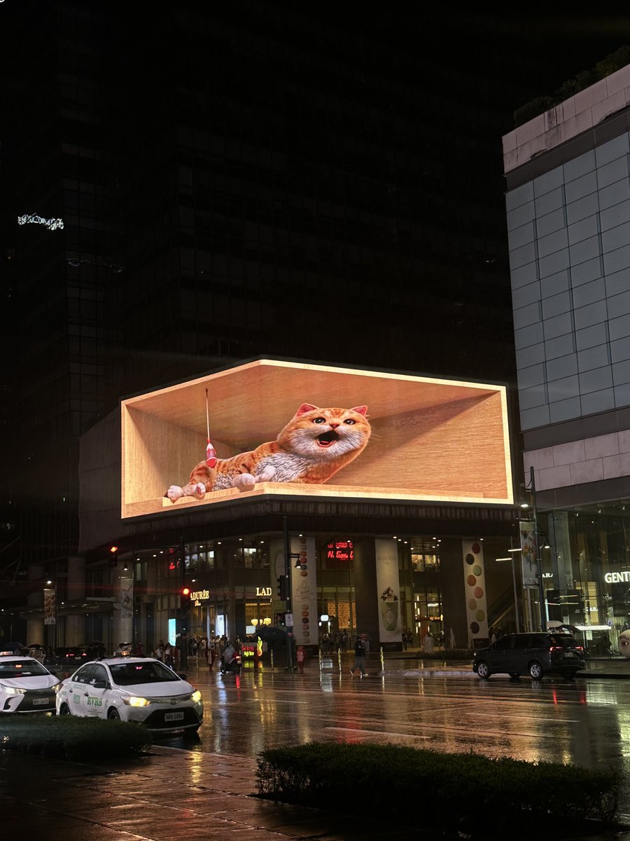 hana˚࿔*:･ tweet media