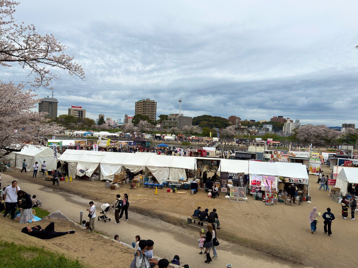 kas2114's tweet photo. 岡崎の桜祭り行って
花見してきた🌸

岡崎めっちゃ好きになった。 https://t.co/MgYGMMVmfP
