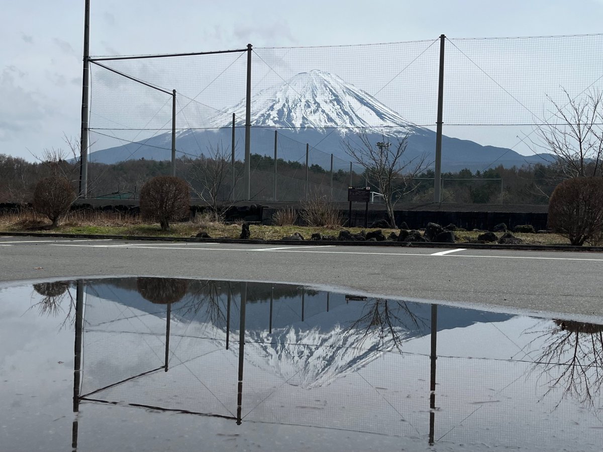 こるの tweet media