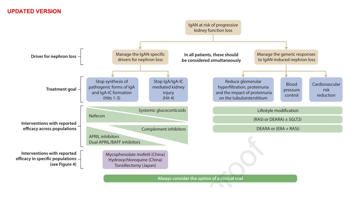 SayedSRahman1's tweet photo. Updated Therapeutic targets 🎯 based on 4 Pillars of treatments in IgA Nephropathy
#IgAN
#Kidney_Int @BradRovin
#ISNWCN #WCN26
https://t.co/7SKdqNkjzQ https://t.co/BnFX2whSVr