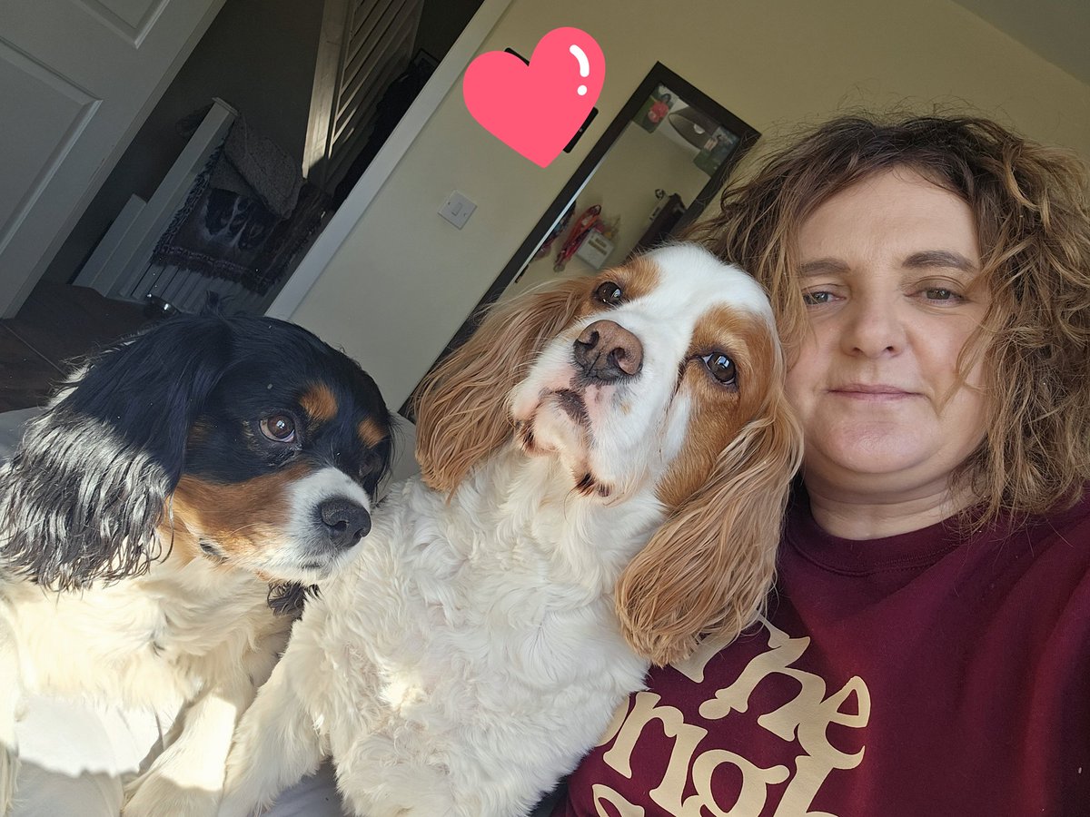 runawaygirl248's tweet image. Chilling with my bous before the family come over for Easter lunch 😘
#cavpack #Sundayvibes
