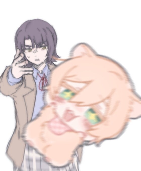 ツルツル tweet media