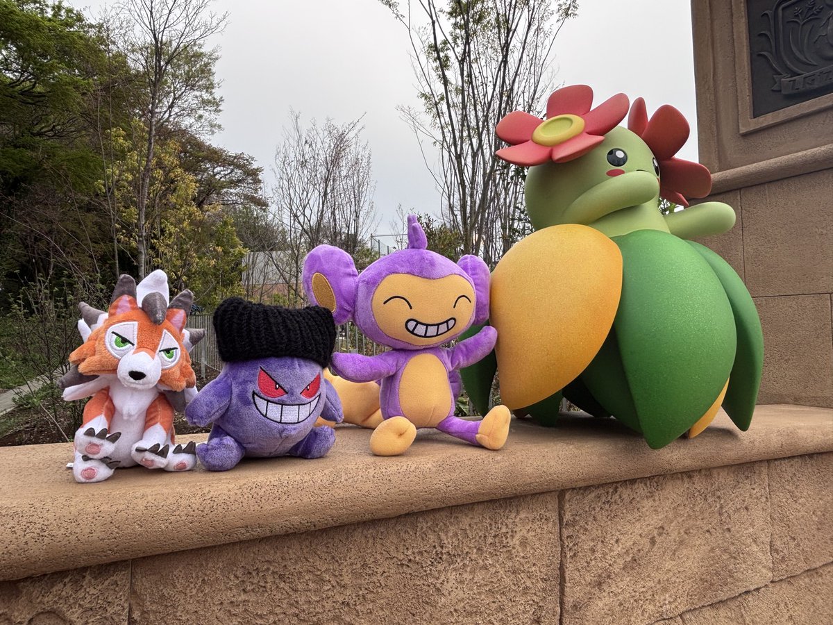 ❄️冬子❄️ tweet media