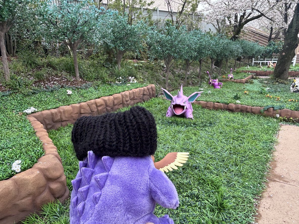 ❄️冬子❄️ tweet media