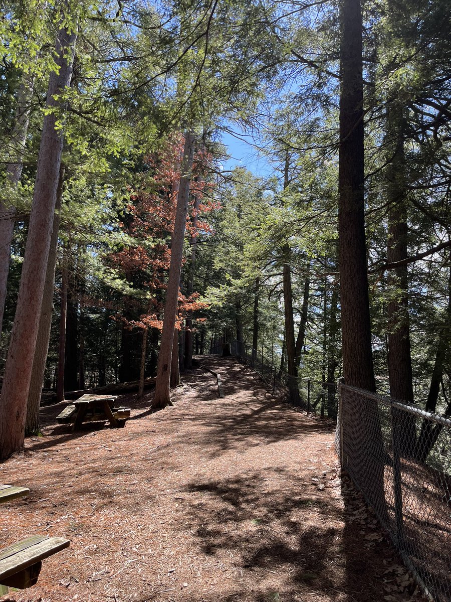 cruisin.exe tweet media