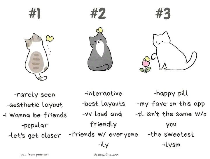 ty 𖹭。 tweet media