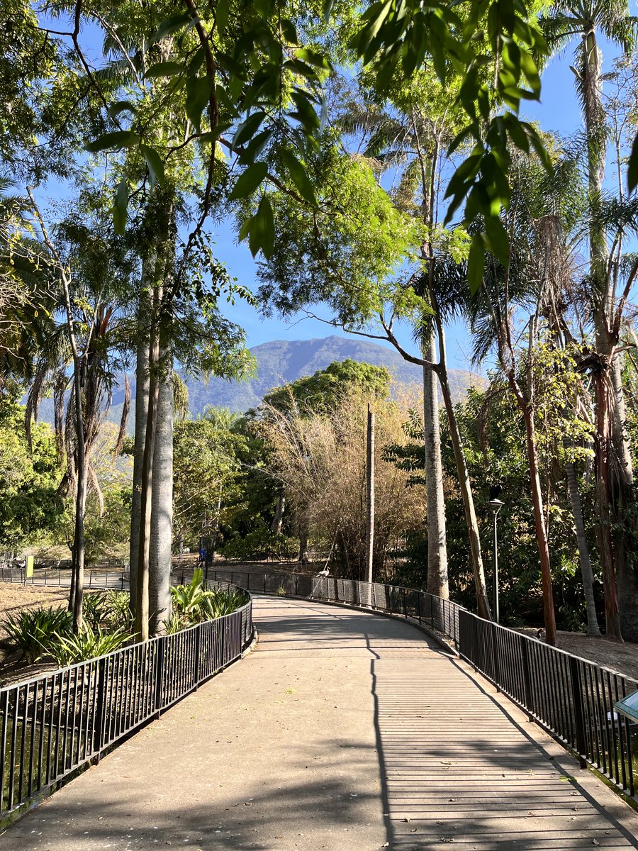 Maria Gabriela Escovar tweet media