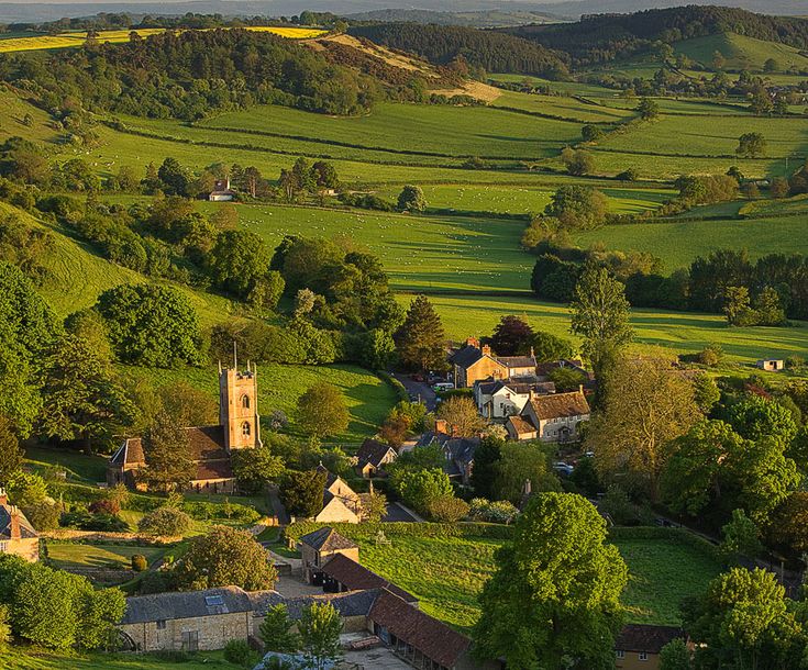 WORLD VIEW tweet media