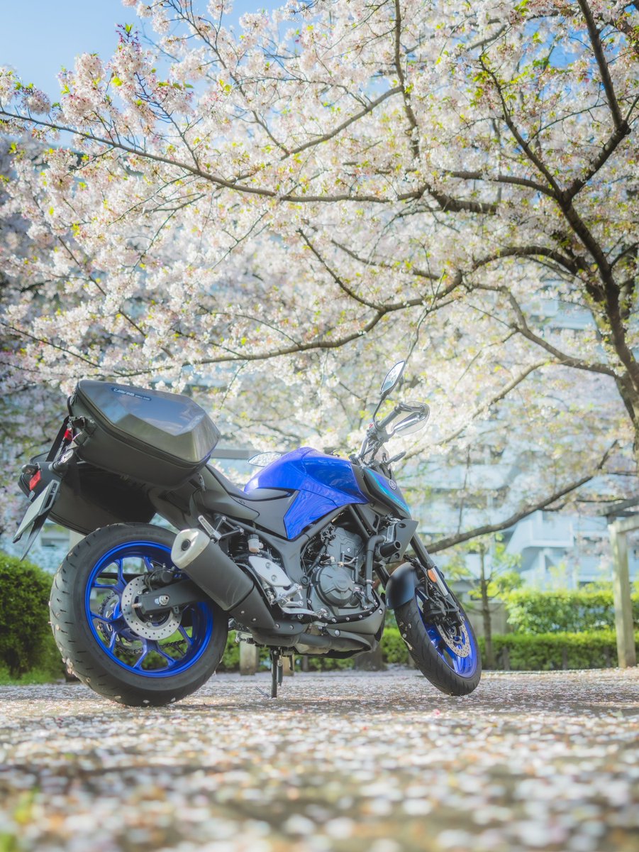 simakaze39's tweet photo. 通りすがりの満開🌸

#YAMAHAが美しい https://t.co/SN2fsR48Xb