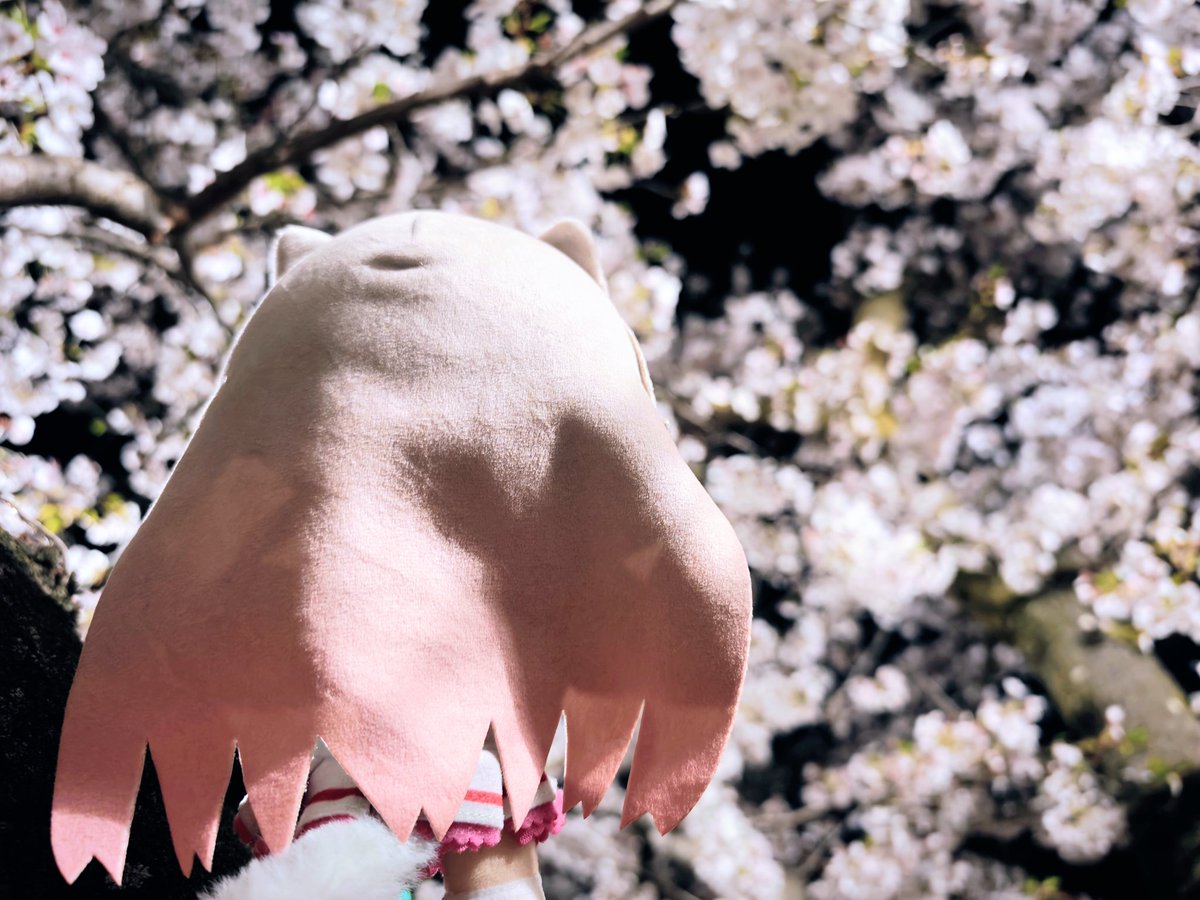 jack.usami tweet media