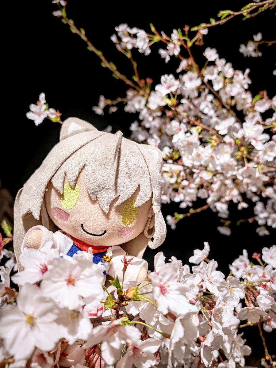 jack.usami tweet media