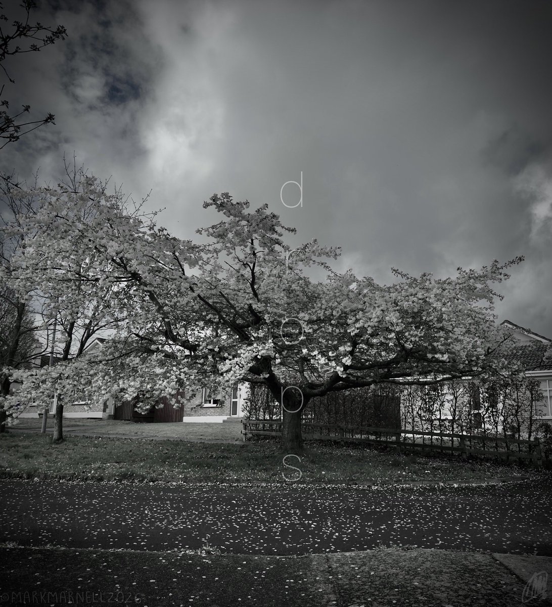 Mark Marnell tweet media