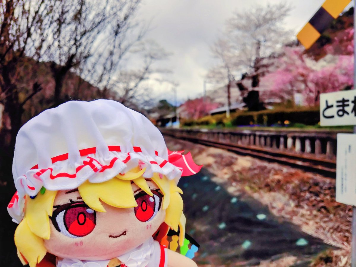 灯月ふらん tweet media