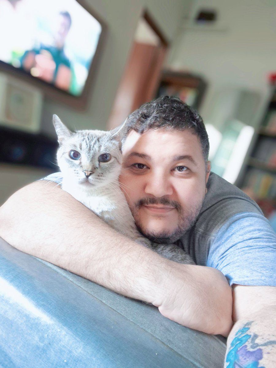 Modo Aleatório tweet media