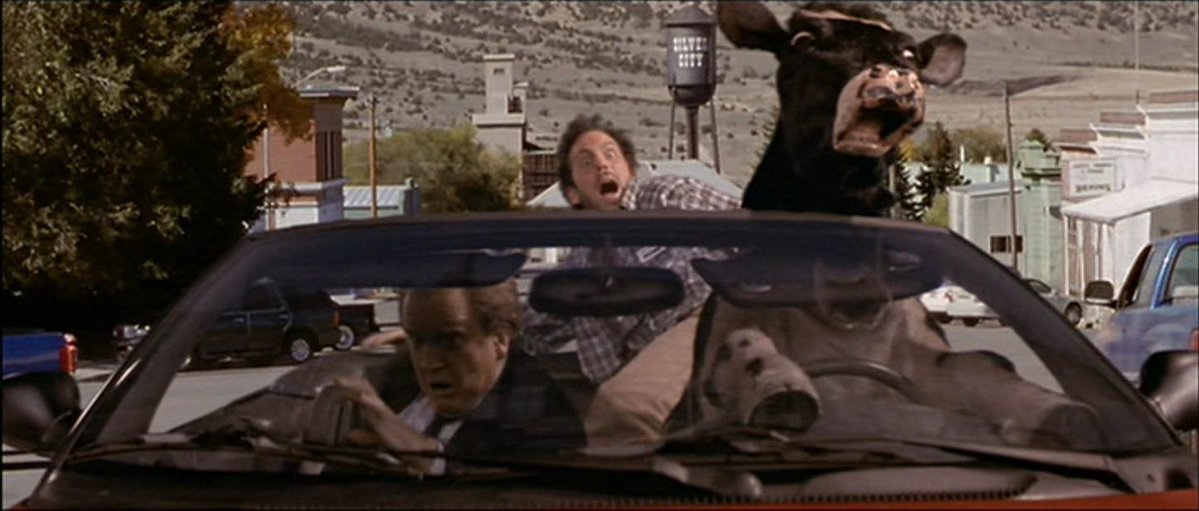 Илья Кролик™ tweet media