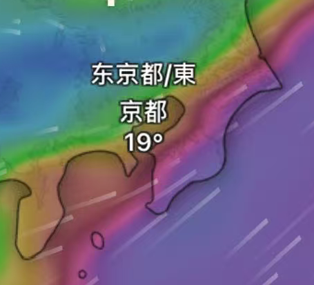 yuyu（weather trader） tweet media