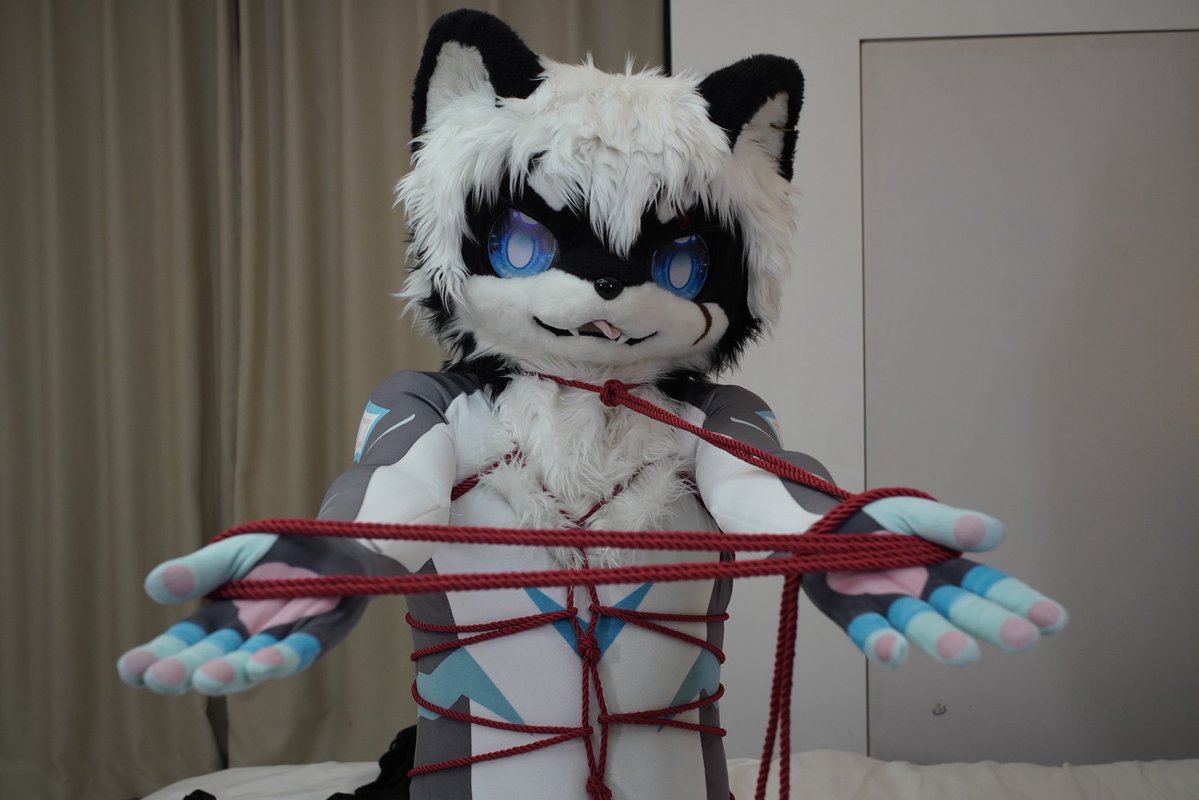 亚罗神羽 tweet media