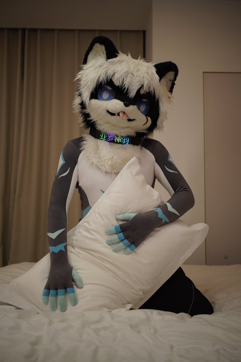 亚罗神羽 tweet media