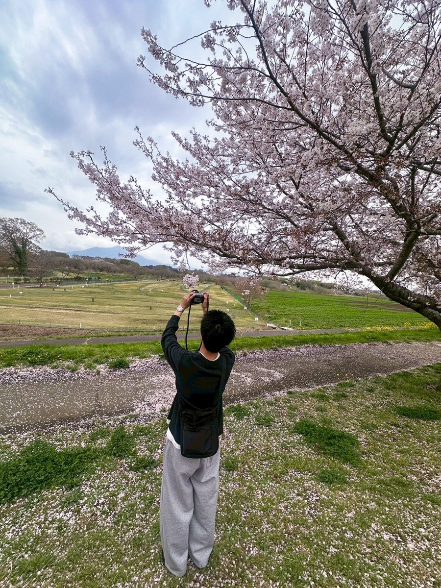 tani135791's tweet photo. 彼女とお花見！

 #日常垢 
 #日常垢さんと繫がりたい 
 #日常垢さんとつながりたい https://t.co/rWh69D3qAj