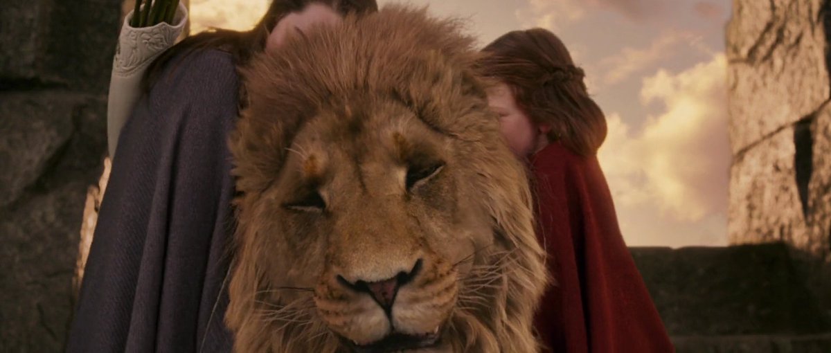 lou 🌷 tweet media