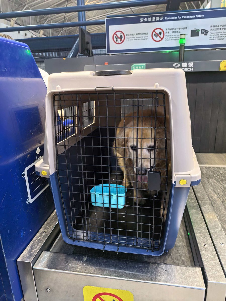 notodogmeat tweet media