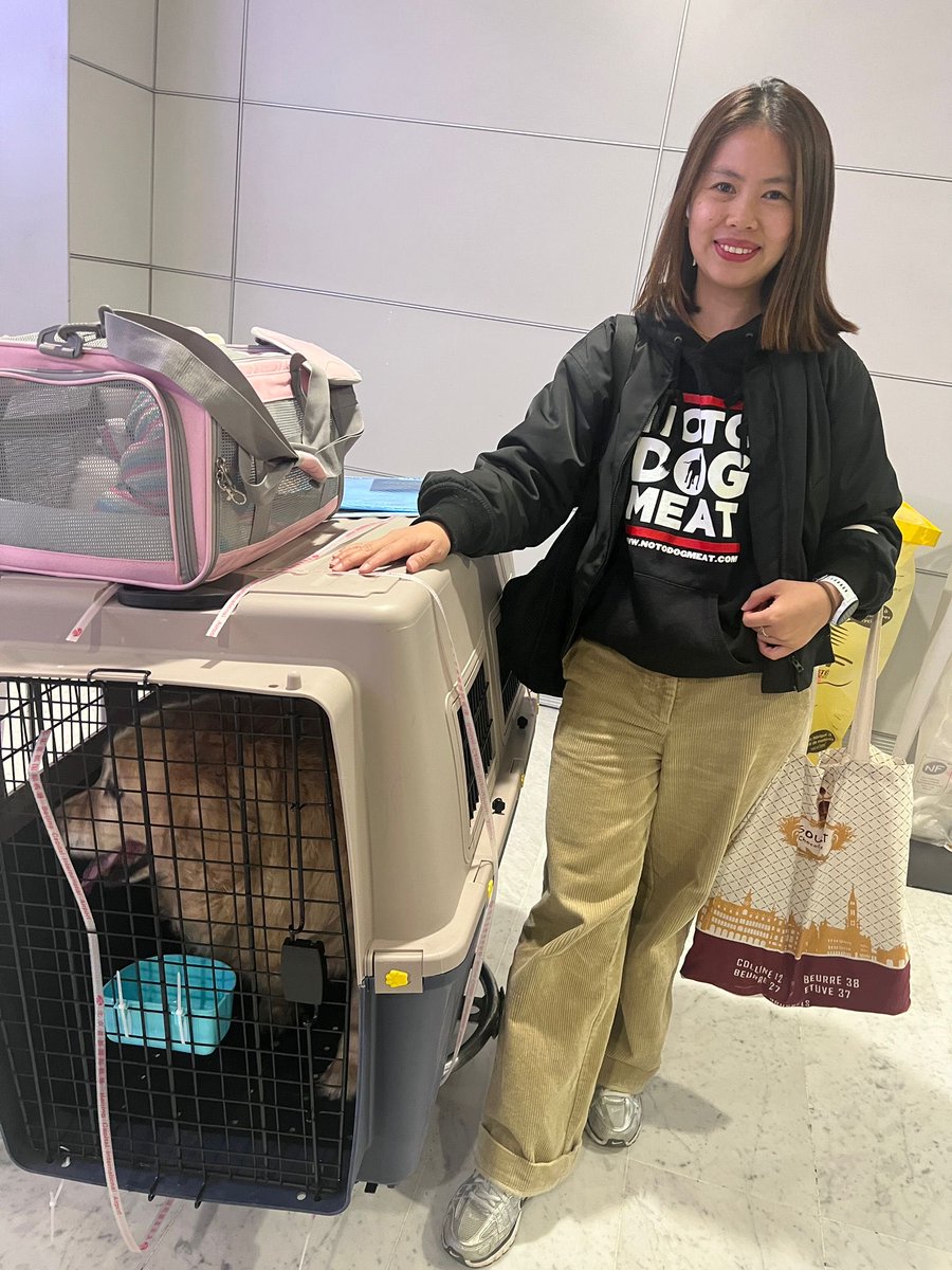 notodogmeat tweet media