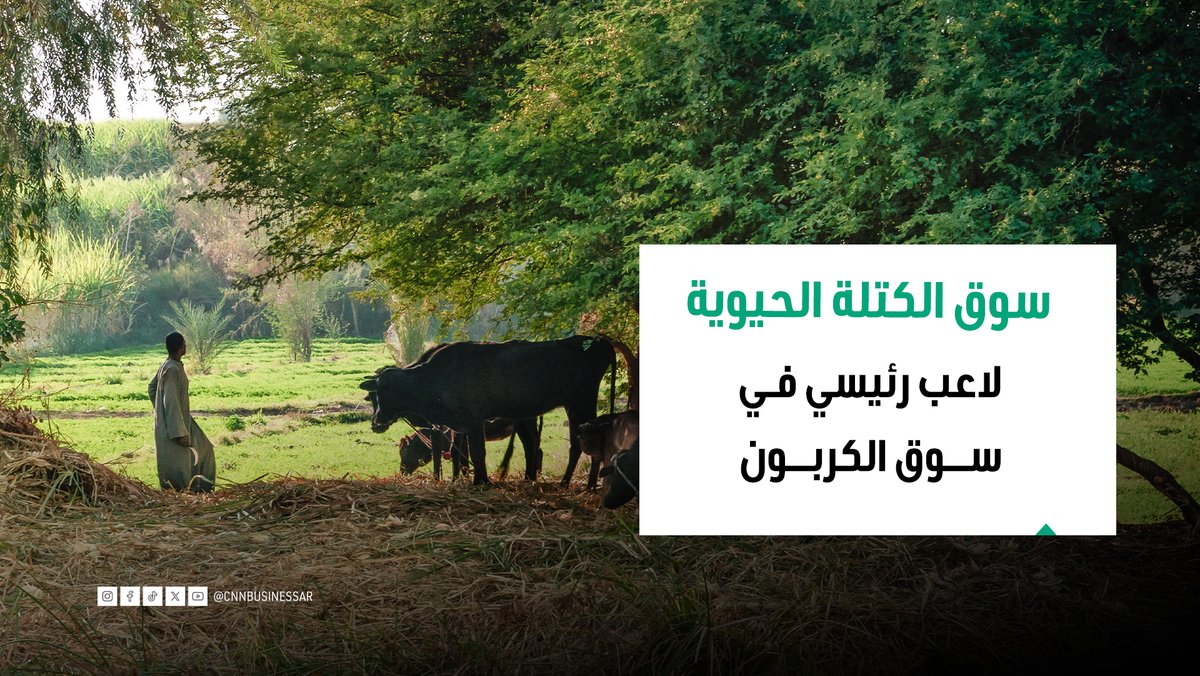 ستيفانو مارلان، الرئيس التنفيذي لـ"كربون غروب" في مقابلة خاصة مع CNN الاقتصادية: استثماراتنا في "الكتلة الحيوية" بأسوان تهدف لتكرار تجربة البرازيل الناجحة التي خلقت سلاسل توريد بقيمة 150 مليون دولار بفضل توليد أرصدة الكربون 